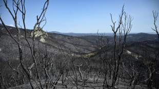 Massive Greece wildfire coming under control: govt