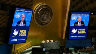 Press freedoms shrink, journalists targeted: UN and media