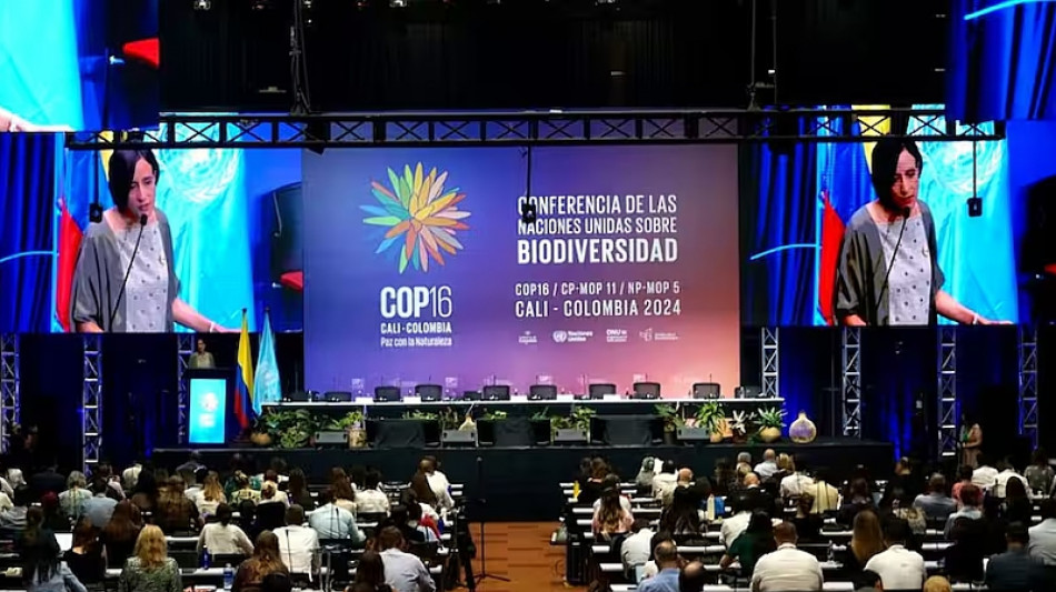 Conclusa senza accordi la Cop16 in Colombia