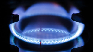 Il gas resta in tensione e chiude ai massimi da dicembre