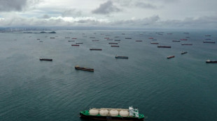 Drought-hit Panama Canal to restrict access for one year