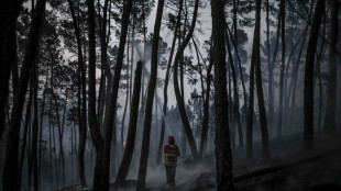 Portugal battles forest fires amid heatwave 