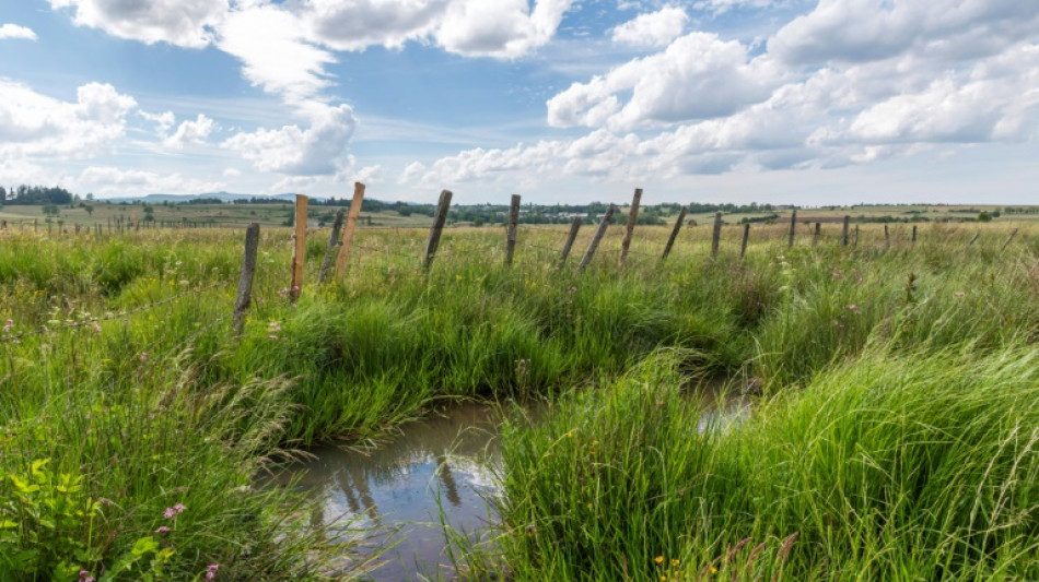 Dans le Cantal, un projet de carrière sur une zone humide suscite des remous