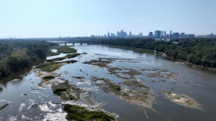 Drought sinks longest Polish river to record-low level