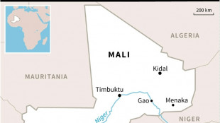 Mali river boat, base attacks kill 64