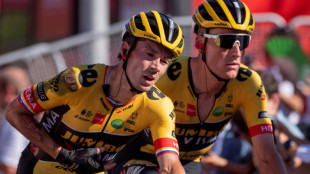 Tour d'Espagne: Roglic, triple tenant du titre, abandonne après sa chute de mardi