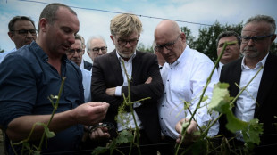 Grêle : des mesures annoncées pour soulager les exploitations agricoles touchées