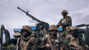 Rwandan army conducted military ops in DR Congo: UN experts