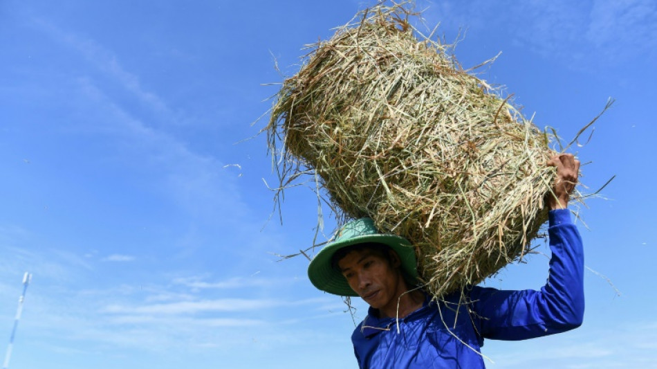 How Vietnam is trying to stop rice warming the planet