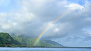 Surf: Teahupo'o, le "coin de paradis" qui accueille la vague olympique