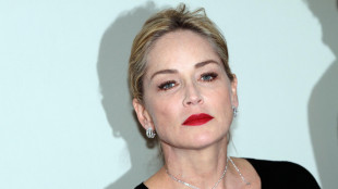 Sharon Stone e Matthew Broderick al Torino Film Festival