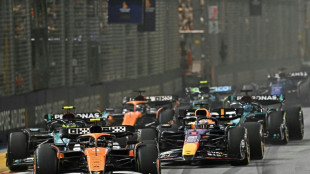 French luxury goods giant LVMH in F1 sponsorship deal