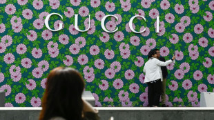 Gucci owner Kering profits slump in 'trying year'