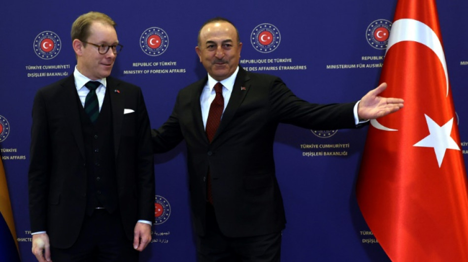 Turkey praises Sweden but says more needed for NATO membership