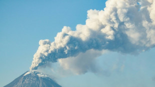 Australian airlines cancel Bali flights after volcano erupts