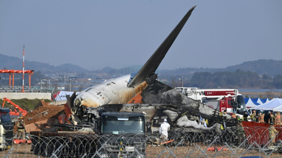 S. Korea rival parties form plane crash task force despite political turmoil