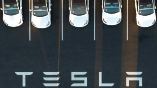 Tesla looking at building lithium refinery in Texas