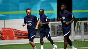 Mondial-2022: le duo Pogba-Kanté à l'infirmerie, peur sur les Bleus