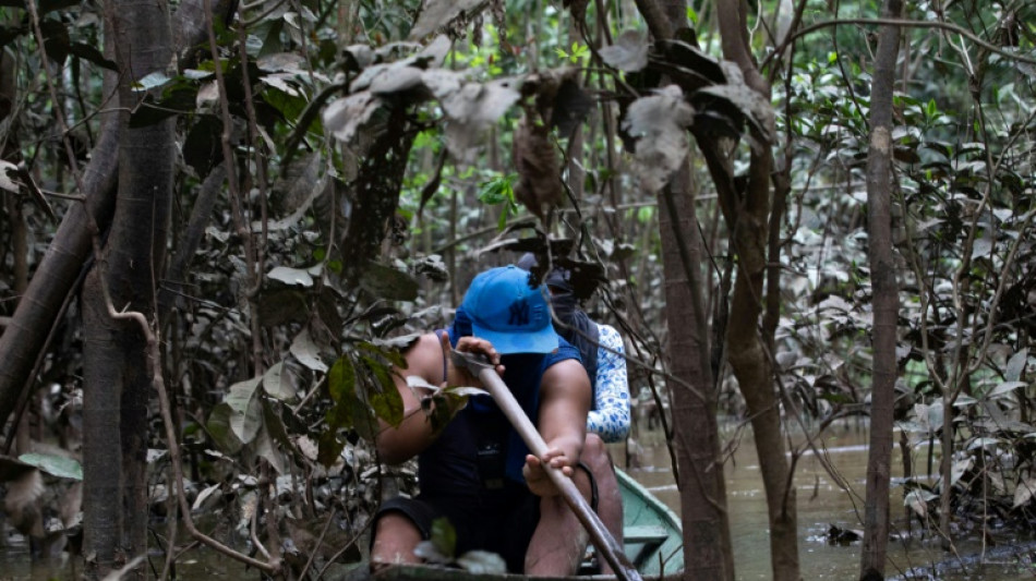 How Brazil's Javari Valley became a criminal haven