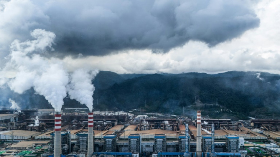 En Indonésie, un peuple autochtone "encerclé" par l'industrie minière