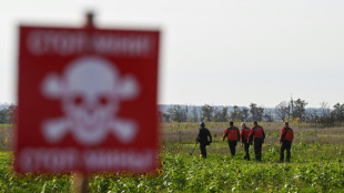 Ukraine demining teams race to clear danger before winter