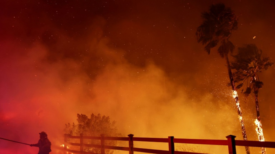 Wildfire quickly spreads in California's Malibu