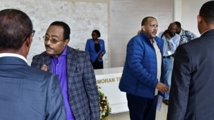 Military leaders of Ethiopia warring parties talk disarmament