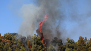 Beirut, almeno 51 morti per i raid israeliani di oggi