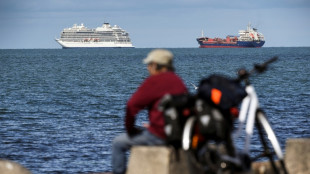 Un crucero bloqueado cerca de Australia y Nueva Zelanda por "crecimiento marino" en el casco