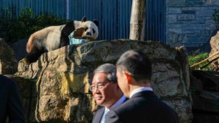 Chinese Premier Li toasts warming trade ties in Australia 