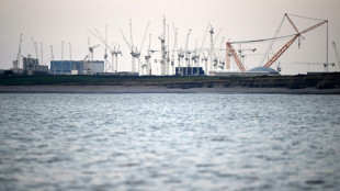 UK ousts China from new nuclear project Sizewell