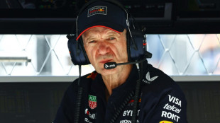 F1: quelles conséquences après le départ de Newey de Red Bull ?