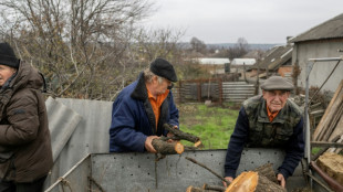 War-weary Ukraine residents chop wood to 'survive' winter