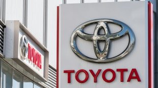 Glitch halts Toyota factories in Japan