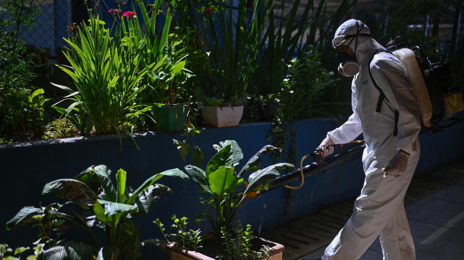 Ministero a Regioni,contro Dengue sorveglianza e bonifiche