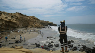 Oil leak in Peru tourist zone triggers 'environmental emergency'