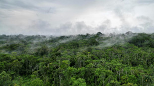 In a first, Ecuador to vote on oil drilling in the Amazon