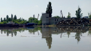 Ukraine nuke plant safety at stake after dam damage