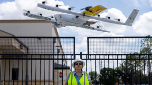 Pie from the sky: drone delivery lands in America