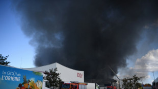 Huge fire destroys warehouse at giant Paris wholesale market