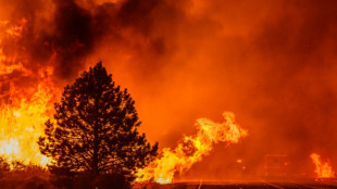 Tausende Menschen bei großem Waldbrand in Kalifornien evakuiert