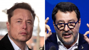 Musk a Salvini, accordo? Sarebbe grandioso