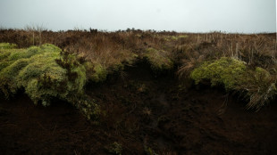 Un proyecto en Inglaterra busca restaurar las turberas, sumideros de carbono