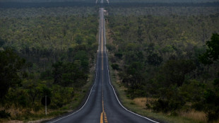 Deforestation in Brazil's Cerrado higher than in Amazon: report