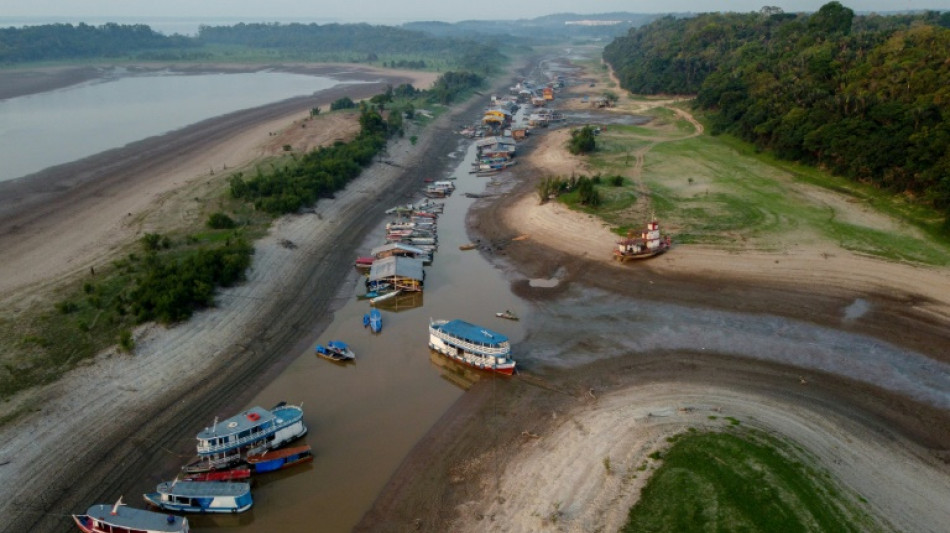 Mudança climática favoreceu a seca na Amazônia em 2023, afirma estudo