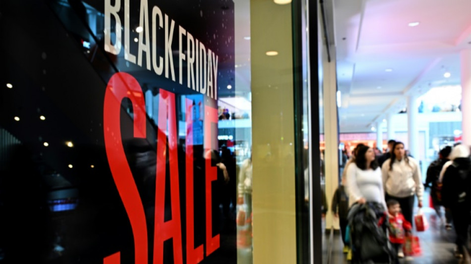 US 'Black Friday' online spending put at record $10.8 bn 