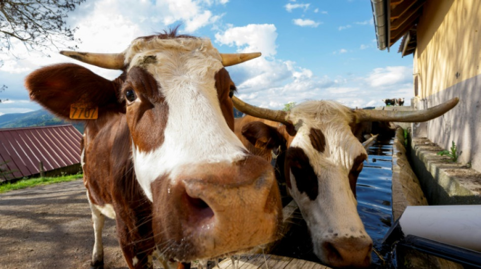 Agriculture : la réponse du gouvernement soumise au vote des députés