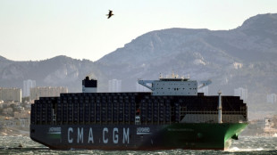 Shipping giant CMA-CGM joins Maersk in Red Sea return