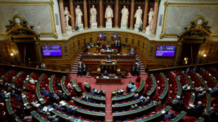 Budget rectificatif: le Sénat évacue d'emblée une taxe sur les superprofits