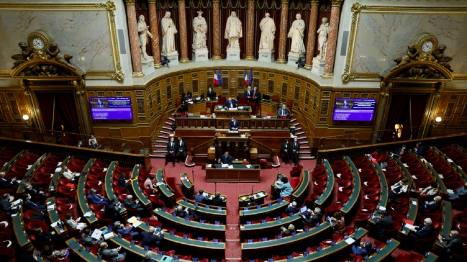 Superprofits, heures supplémentaires, redevance... débats animés au Sénat